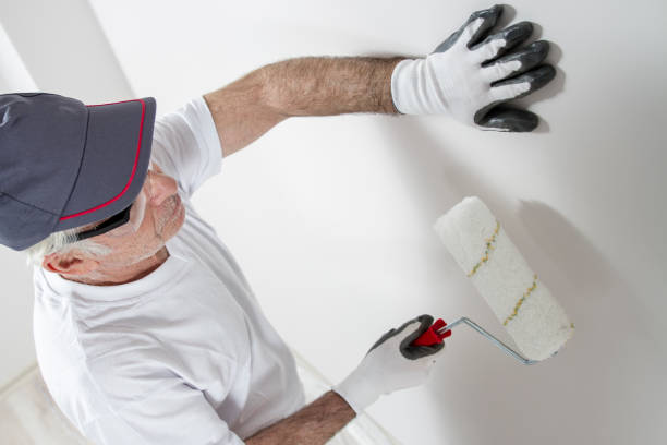 Lennox, CA Mold Removal Company