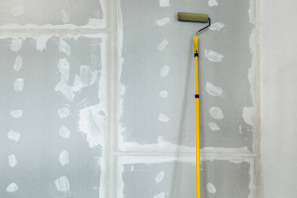 Best Emergency Mold Remediation  in Lennox, CA