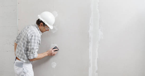 Best Airborne Mold Testing  in Lennox, CA