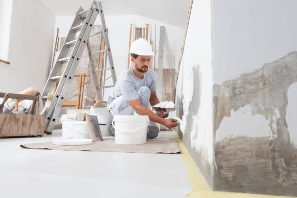  Lennox, CA Mold Removal Pros