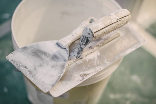 Best Black Mold Removal  in Lennox, CA